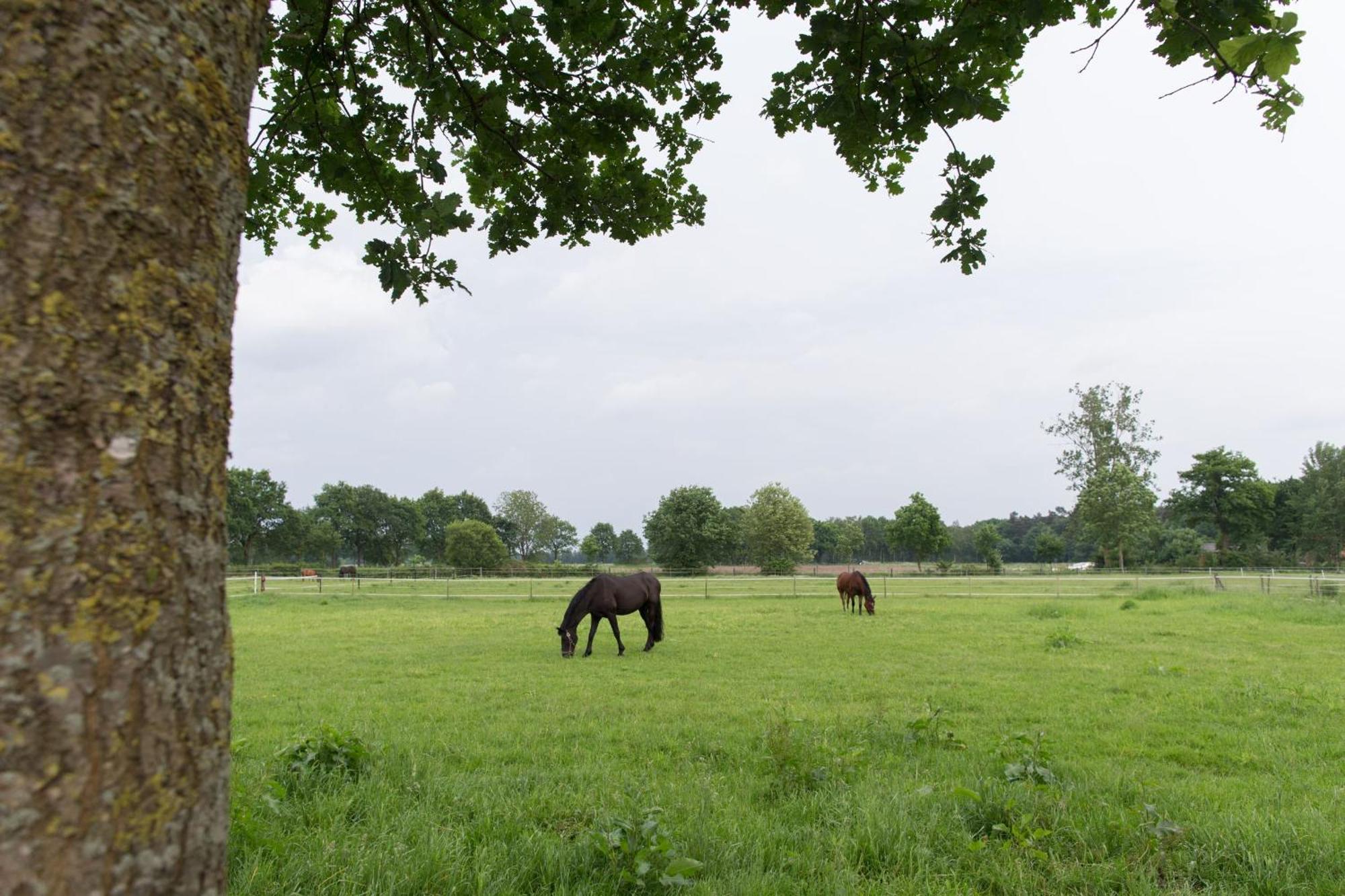 Landhuus Laurenz Gronau  Exterior photo
